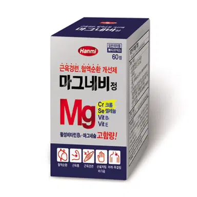 마그네비정
