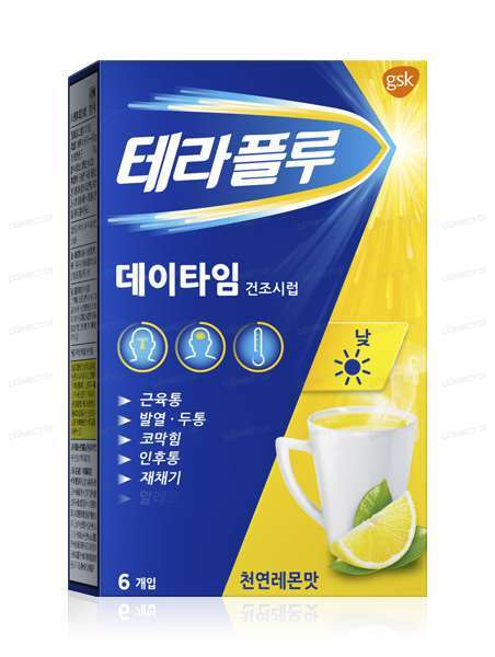 테라플루 데이타임